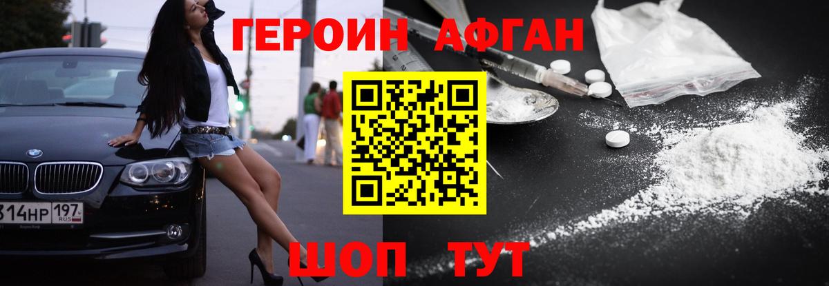 ГЕРОИН хмурый Балтийск