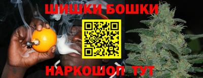 гидропоника Дубна