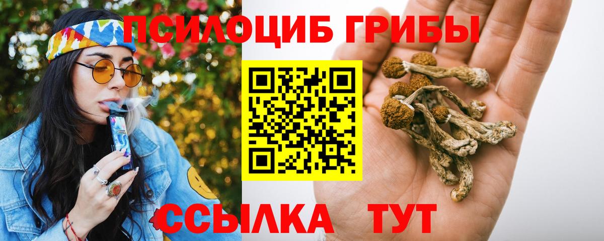 Псилоцибиновые грибы GOLDEN TEACHER Балтийск