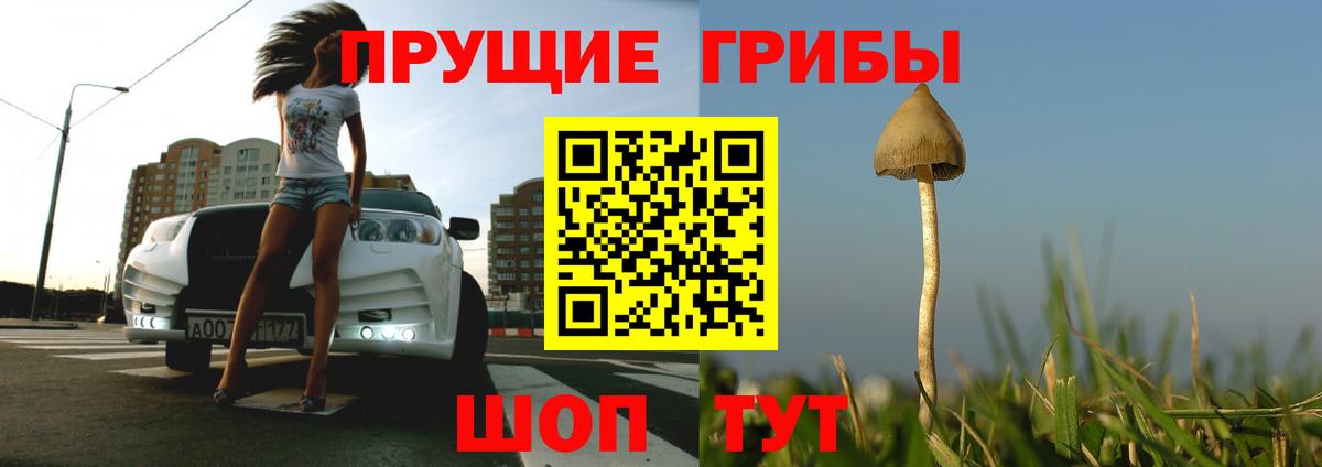 Псилоцибиновые грибы мухоморы  Вход с VPN  Балтийск  Галлюциногенные грибы Psilocybe 